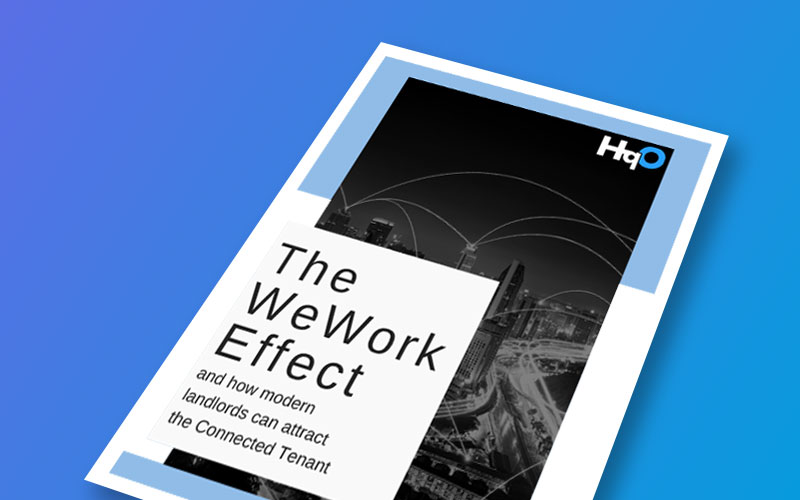 the wework effect book cover