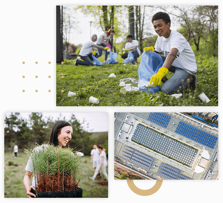 Office sustainability initiatives