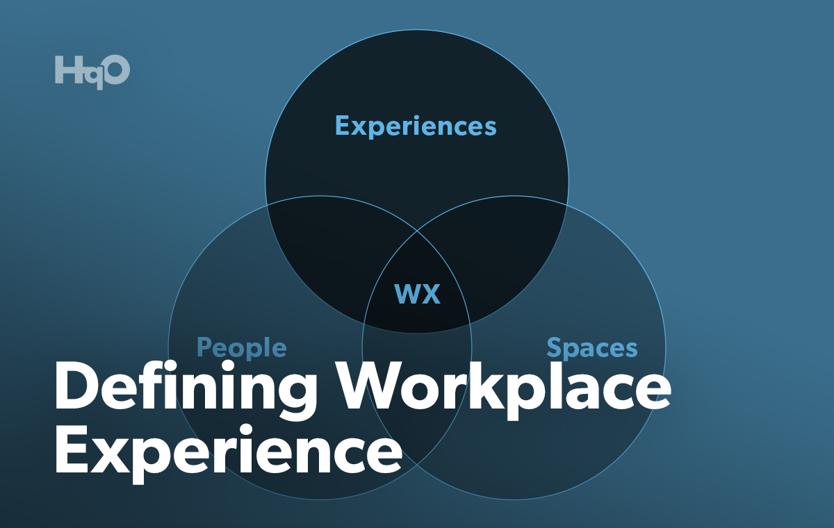 Workplace experience Venn diagram