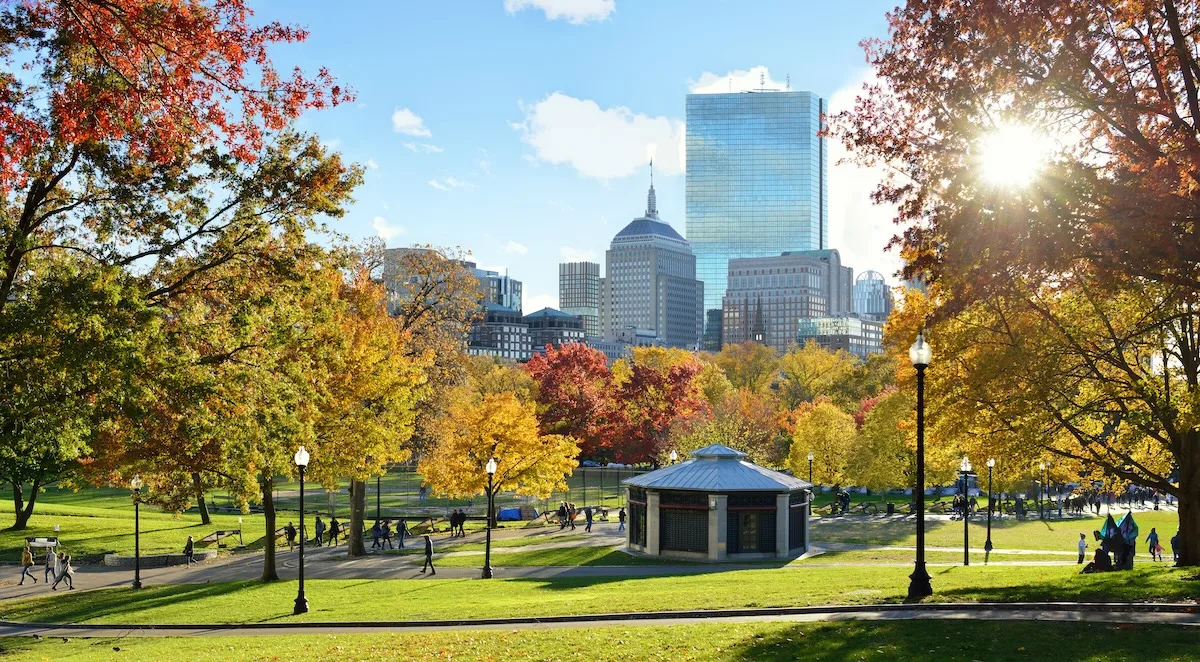 Boston Common in the fall with sun shining through trees. Panoramic view of park with city skyline in the background